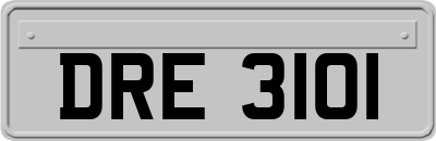 DRE3101