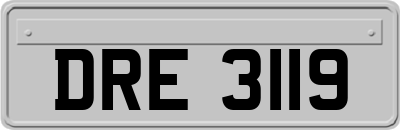 DRE3119