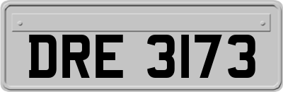 DRE3173