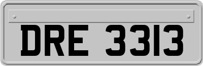 DRE3313