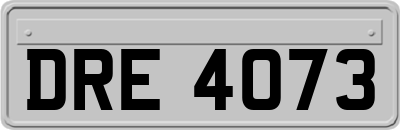 DRE4073