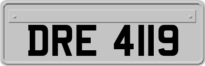DRE4119