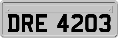 DRE4203