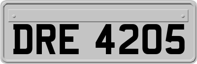 DRE4205