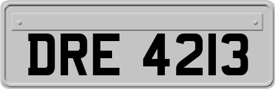 DRE4213