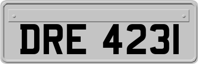 DRE4231