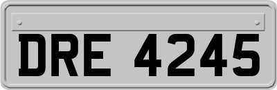 DRE4245