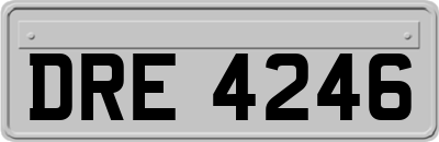 DRE4246