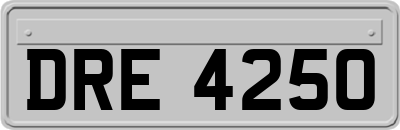 DRE4250