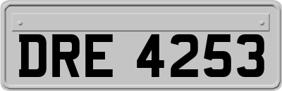 DRE4253