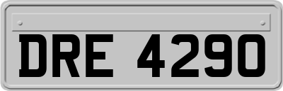 DRE4290