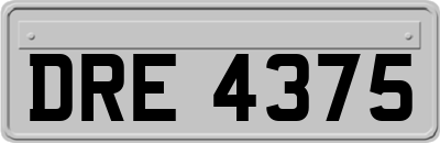DRE4375