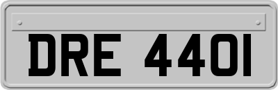 DRE4401