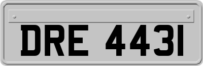 DRE4431