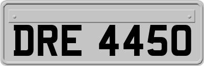 DRE4450