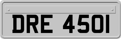 DRE4501