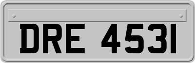 DRE4531
