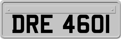 DRE4601