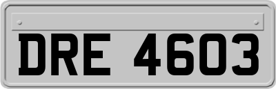 DRE4603
