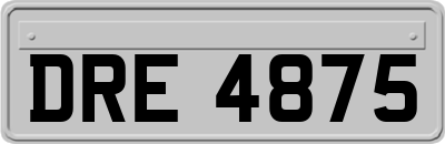 DRE4875