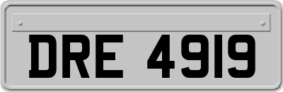 DRE4919