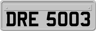DRE5003