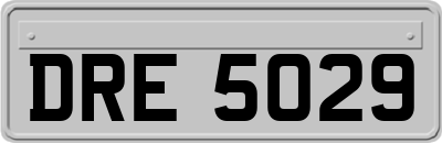 DRE5029
