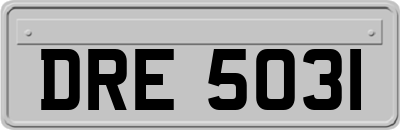 DRE5031