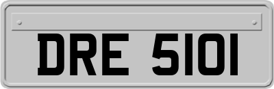DRE5101