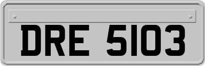 DRE5103