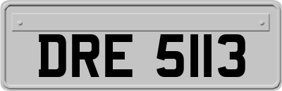 DRE5113