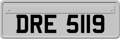 DRE5119