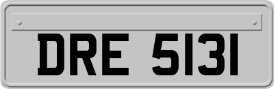 DRE5131