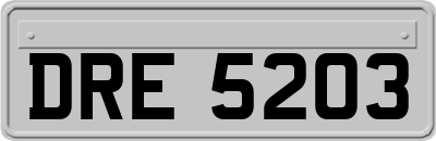 DRE5203