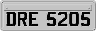 DRE5205