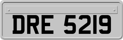 DRE5219