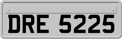 DRE5225