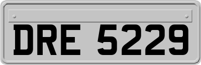DRE5229