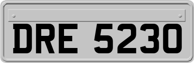 DRE5230
