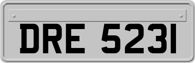 DRE5231