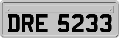 DRE5233