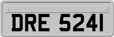 DRE5241