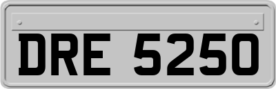 DRE5250