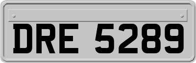 DRE5289