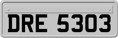 DRE5303