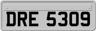 DRE5309