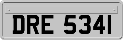 DRE5341
