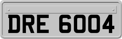 DRE6004