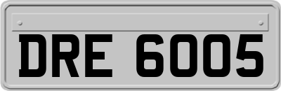 DRE6005
