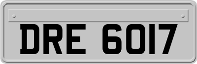 DRE6017